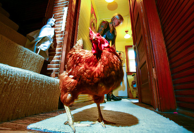 GG shot by Bob Coulter at Crazy Babe