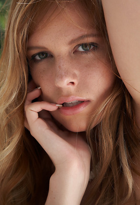 Carmen Gemini Photo 10 of 14