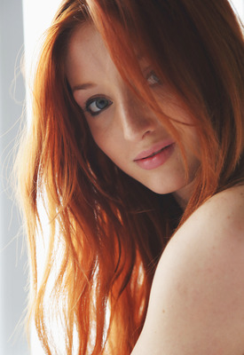 The Red Fox Photo 14 of 20