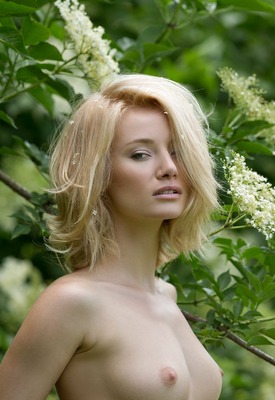 Velvet A Photo 14 of 17