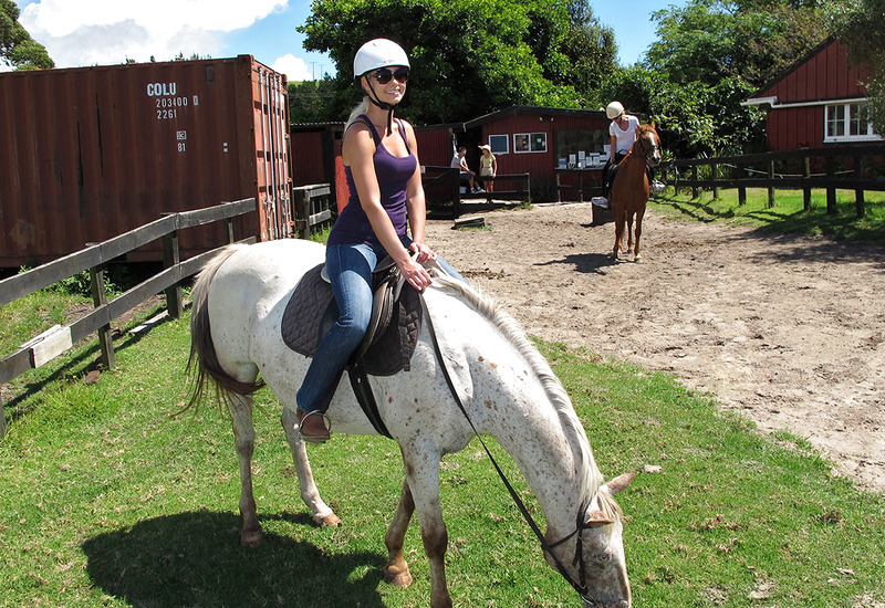 New Zealand Holiday by In The Crack
