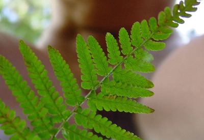 Diane Snaps Erotic Selfpics by I Shot Myself