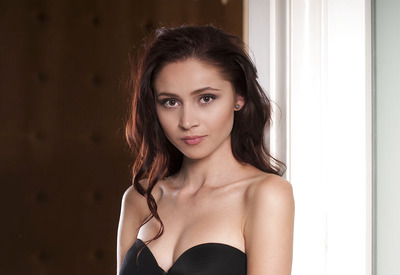 Red Fox in Lokasi by Met-Art