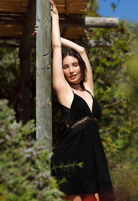 Calypso in Sun Soaked by MPL Studios