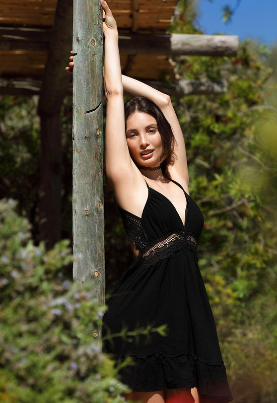 Calypso in Sun Soaked by MPL Studios