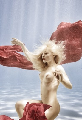 Amber Bassick Photo 2 of 8