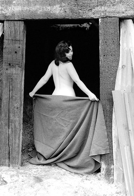 Pat Lawler Photo 2 of 4