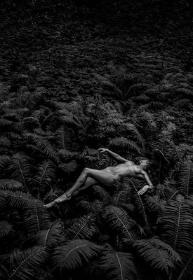 Anton Novozhilov Nude Photography at Alrincon