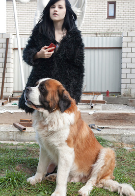 Ultima in Shaggy Friend by Showy Beauty