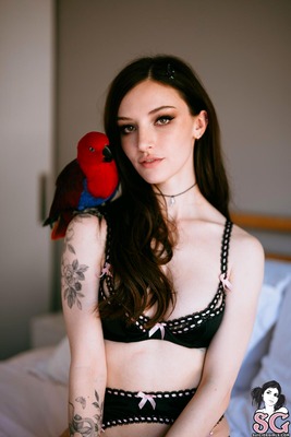 Dainty in Candy by Suicide Girls - 3 of 12