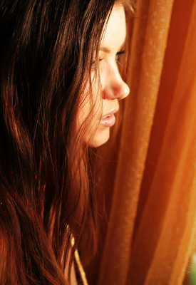 Firebird A Photo 3 of 6