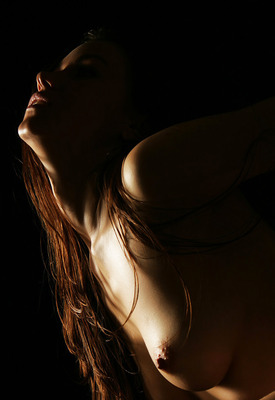 Firebird A Photo 3 of 12