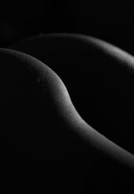 The Life Erotic