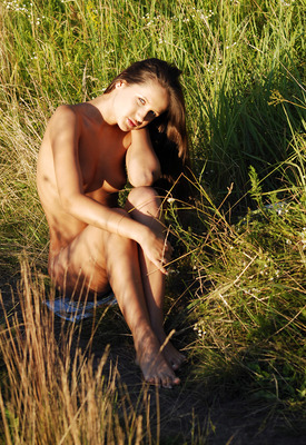 Tosya A in Betula by Zemani