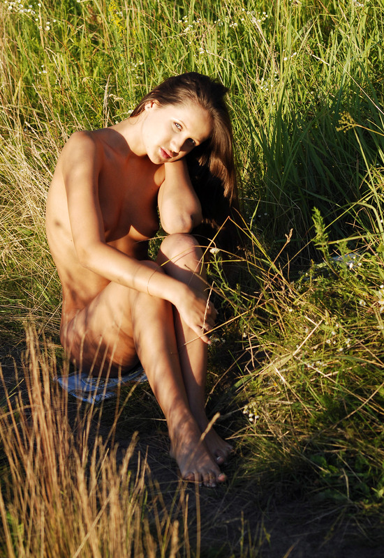 Tosya A in Betula by Zemani